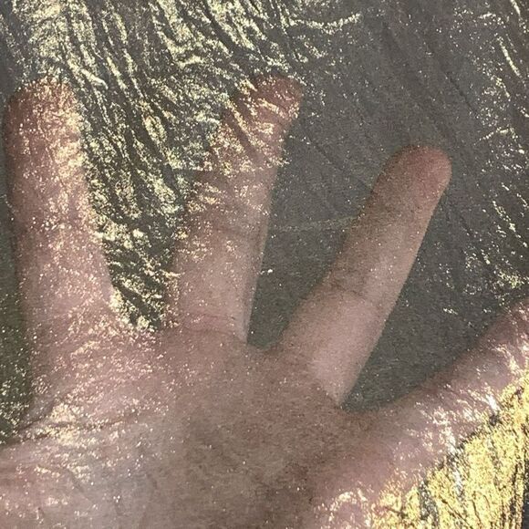 Michael Kors Sheer Gold Black Blouse Size Medium - Picture 4 of 9